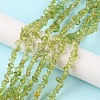 Natural Peridot Beads Strands G-G0003-B27-2