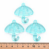 Transparent Acrylic Pendants TACR-T024-01B-946-4