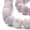 Natural Lepidolite/Purple Mica Stone Beads Strands G-T106-294-2