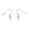 Iron Earring Hooks LS-X-IFIN-EC135-RG-2
