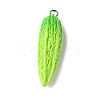 Resin Iron Pendants RESI-D280-10-1