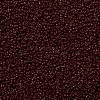 MIYUKI Round Rocailles Beads X-SEED-G009-RR0419-3