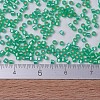 MIYUKI Delica Beads SEED-X0054-DB0691-4