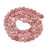 Natural Rhodonite Beads Strands G-B138-C11-01-3