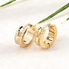 201 Stainless Steel Hoop Earrings SA-CBA4A0D-04G-2