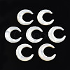 Natural White Shell Connector Charms SSHEL-N034-159-2