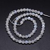 Natural Rainbow Moonstone Round Bead Strands G-M263-C-02-2