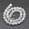 Natural Selenite Beads Strands G-G792-24D-2