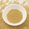 MIYUKI Delica Beads X-SEED-J020-DB0031-2