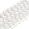 Painted Glass Bead Strands DGLA-S071-12mm-01-1