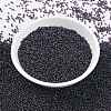 MIYUKI Round Rocailles Beads X-SEED-G009-RR0171-2