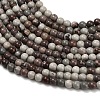 Natural Red Dendritic Jasper Beads Strands G-Z116-A27-2mm-4