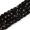 Natural Golden Sheen Obsidian Beads Strands G-N342-110-1