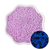 Luminous Glow in the Dark Glass Seed Beads PW-WG72127-03-1