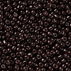 Baking Paint Glass Seed Beads SEED-US0003-3mm-K18-2