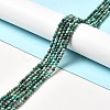 Natural Chrysocolla Beads Strands G-I341-12C-2