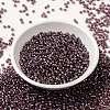 MIYUKI Round Rocailles Beads X-SEED-G008-RR3748-2