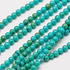 Imported Synthetic Turquoise Bead Strands X-G-A130-2mm-L05-1-2