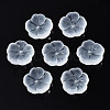Transparent Frosted Glass Beads GLAA-Q089-003-B001-2