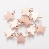 Ion Plating(IP) 304 Stainless Steel Charms STAS-Q201-T461R-1