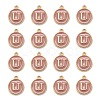 Golden Plated Alloy Enamel Charms ENAM-S118-07U-2