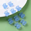 Transparent Acrylic Beads MACR-S373-80-D14-7