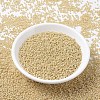 MIYUKI Round Rocailles Beads X-SEED-G007-RR0488-1