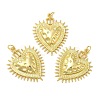 Rack Plating Brass Pendants KK-C030-23G-3