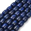 Natural Lapis Lazuli Beads Strands G-H319-A01-03-2