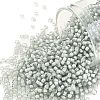TOHO 11/0 Round Beads X-SEED-TR11-0376-1