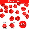 80Pcs 2 Style Cinnabar Beads CARL-SZ0001-01-2