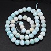 Natural Larimar Round Beads Strands G-O087-10-10mm-3
