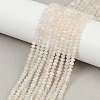 Natural White Moonstone Beads Strands G-Z058-B01-02A-5