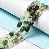 Natural Prehnite Beads Strands G-G980-24-2
