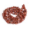 Natural Carnelian Beads Strands G-G011-01-3