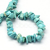 Natural Green Turquoise Stone Bead Strands G-R192-B23-2