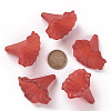 Transparent Acrylic Beads X-BSF796-C12-5