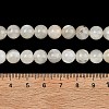 Natural White Moonstone Beads Strands G-C277-A01-8mm-5