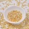 MIYUKI TILA Beads X-SEED-J020-TL0251-2