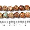 Dyed Natural Regalite/Imperial Jasper/Sea Sediment Jasper Beads Strands G-B124-C03-11-3