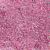 TOHO 8/0 Round Beads X-SEED-TR08-2212-2
