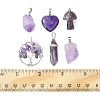 5 Styles Natural Amethyst Pendants G-FS0002-47-5