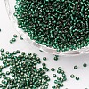 12/0 Grade A Round Glass Seed Beads SEED-Q007-F53-1