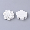 Resin Cabochons X-RESI-S364-46B-2