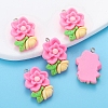 Resin Pendants PW-WG225B2-04-1