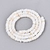 Natural Freshwater Shell Beads Strands SHEL-Q028-01A-2