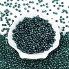 Transparent Glass Seed Beads SEED-N007-33A-09-2