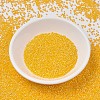 MIYUKI Delica Beads X-SEED-J020-DB1572-2