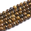 Natural Tiger Eye Beads Strands Z0RQX014-1