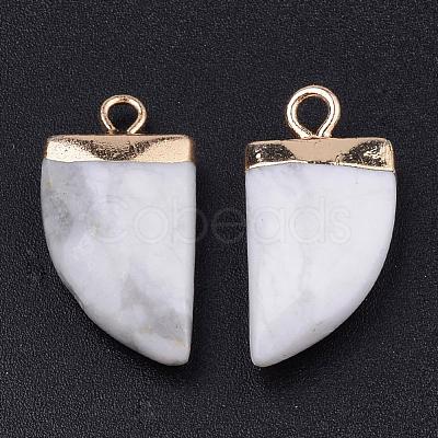 Natural Howlite Pointed Pendants X-G-Q966-10-1